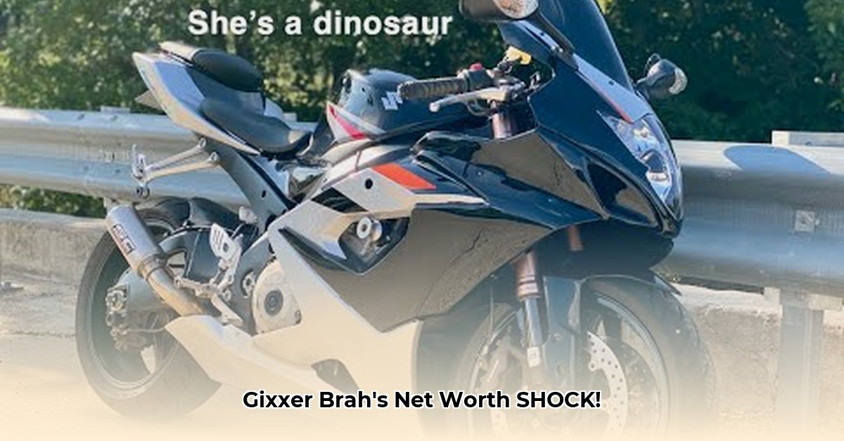 gixxer-brah-net-worth